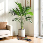 2 Pack Heavy Duty Plant Caddy, 16 Inch - Image 7