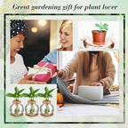 Baderke 9 Packs Propagation Vases for Plants Plastic Plant Propagation Station with Hole Lid and Cork Coasters Plant Growing in Water Hydroponic Home Office Table Decoration(Fish Bowl Style) - Image 7