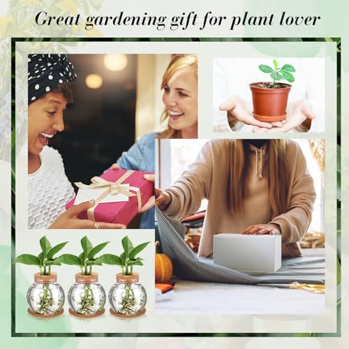 Baderke 9 Packs Propagation Vases for Plants Plastic Plant Propagation Station with Hole Lid and Cork Coasters Plant Growing in Water Hydroponic Home Office Table Decoration(Fish Bowl Style) - Image 7