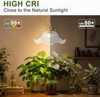 Hanging Grow Lights for Indoor Plants, 12W Full Spectrum 98+ CRI Grow Lamp - Image 5