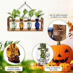 Plant Propagation Stations Halloween Skull Plant Terrarium Kit - Image 3