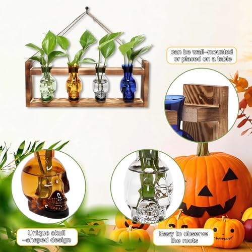 Plant Propagation Stations Halloween Skull Plant Terrarium Kit - Image 3
