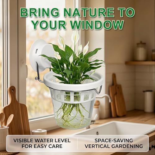 3-Pack Window Propagation Stations Hanging Clear Planter with Suction Cup - Image 3