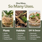 Mossify Long Fiber Sphagnum Moss 1kg, 2.2lb - Orchid & Terrarium Substrate - Image 7