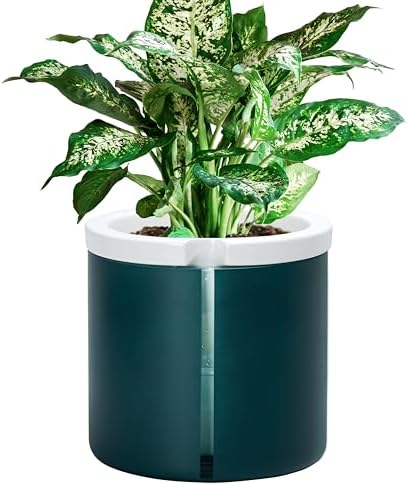 D'vine Dev Self Watering Terracotta Pot, Teal Glass Cup, 8 in, 37-X-C-5 by DvineDevPlanterPotsandStand