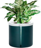 D'vine Dev Self Watering Terracotta Pot, Teal Glass Cup, 8 in, 37-X-C-5 by DvineDevPlanterPotsandStand