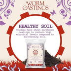 Organic Mechanics Worm Castings Soil Amendment, 5lb (Pack of 4) - Enhances Soil Structure & Retains Moisture for All Plants, Houseplants, Vegetables, Herbs, and Flowers - Peat-Free & Eco-Friendly - Image 2