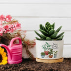DreamAutumn Pack of 3 Grow Positive Thoughts Planter Ceramic Round Plant Pots with Drainage Holes and Bamboo Tray Planting Small Flower Pots for Home Windowsill Desk Garden Indoor Outdoor Use - Image 5