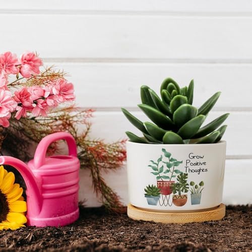 DreamAutumn Pack of 3 Grow Positive Thoughts Planter Ceramic Round Plant Pots with Drainage Holes and Bamboo Tray Planting Small Flower Pots for Home Windowsill Desk Garden Indoor Outdoor Use - Image 5