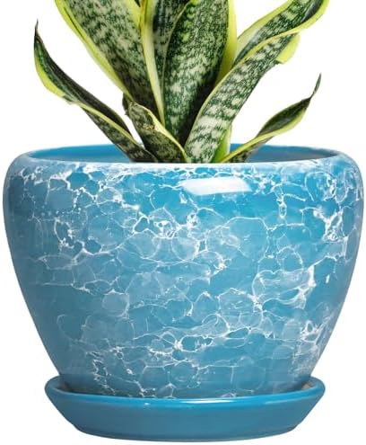 Ceramic Planters for Indoor Plants, 6 Inch Plant Pot, Bubble Blue by Thirtypot