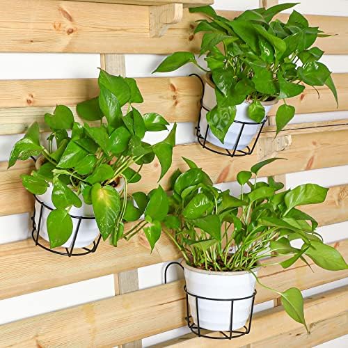 12 Pcs Hanging Railing Planters 6 Inch Flower Pot Holders Black Potted Stand Railing Planter Iron Rack Balcony Planter Basket Small Shelf Container for Indoor Outdoor Balcony Fence Garden Flower Pot - Image 2