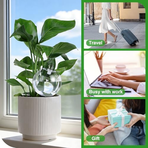 4 Pack 26 oz Extra Large Plant Self Watering Globes Top Fill - Image 5