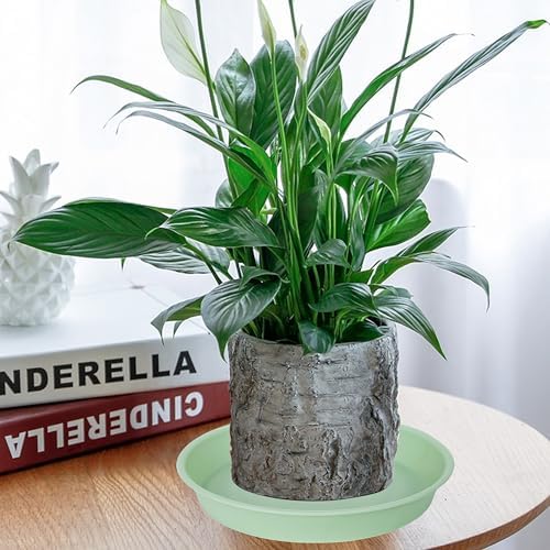4 Pack of 14 inch Plant Saucers Bird Bath Bow Round, Plastic Plant Saucer Tray for Pots, White Planters for Indoor Plants, Plant Trays for Planter 12-15" (14", Light Green) - Image 7