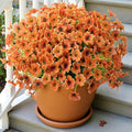 Uieke 72 Pcs Artificial Fall Flowers for Outdoors, UV Resistant Faux Mums by Uieke