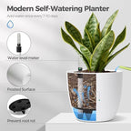 T4U 4 Pcs Pot à Réserve d'eau Rond en Plastique Blanc 18 cm, Pot de Fleurs d’Extérieur et d'Intérieur avec Indicateur de Niveau d'eau Convient aux Jardins de Balcon - Image 5