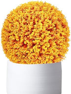 Artificial Plant Topiary Ball Faux Boxwood Decorative Balls 22in, Faux Grass Decor Fake Plant, Decorative Faux Dried Moss Balls, Decorative Balls for Home Decor by ATYUJKB
