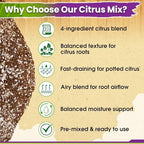 DUSPRO Pre-Mixed 4in1 Ready to Use Citrus Tree Potting Soil Mix, 10QRT - Image 4