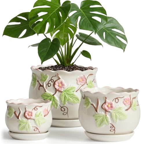 Ceramic Plant Pots with Drainage Holes and Saucers, Small Planters Set of 3 by STHIE