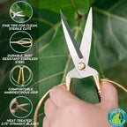Pothos Prop and Grow Bundle - Image 7