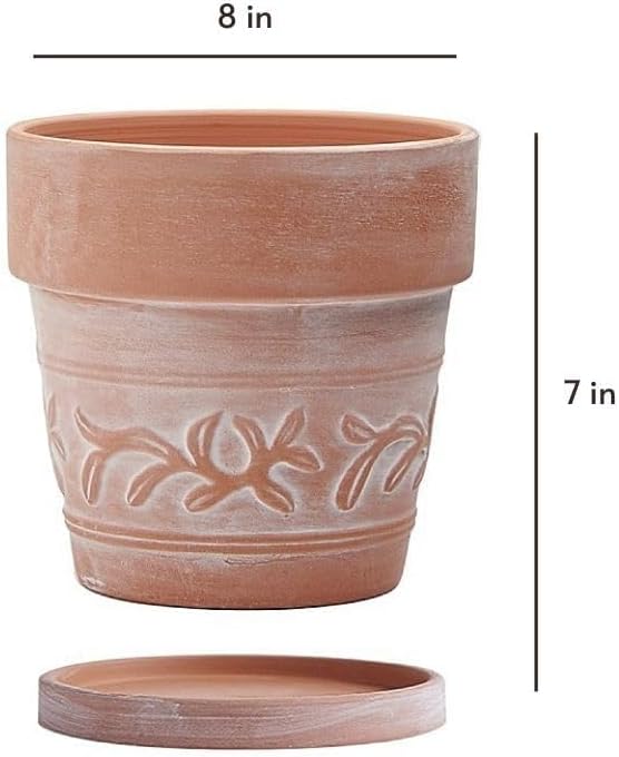 8" Embossed Whitewashed Terracotta Planter with Drainage Hole & Saucer, Rustic Style Unglazed Terracotta Pot for Indoor & Outdoors Plants - Image 6