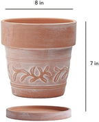 8" Embossed Whitewashed Terracotta Planter with Drainage Hole & Saucer, Rustic Style Unglazed Terracotta Pot for Indoor & Outdoors Plants - Image 6