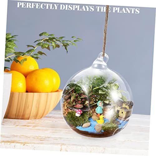 Happyyami 4pcs Hanging Glass Globe Terrarium Microlandscape for Indoor Decor Modern Design for Home Office Balcony and Garden - Image 4