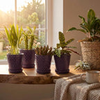 EFISPSS Ceramic Plant Pots, 5 Inch Planters with Drainage Holes and Ceramic Tray, Relief Design Flower Planter, Desktop Office Windowsill Decoration Gift Set of 4 - Purple - Image 6