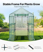 VEVOR Walk-in Greenhouse, 55.5" x 56.1" x 78.7" Greenhouse for Outdoors with PE Cover, 2 Tiers 8 Shelves, Roll-Up Zipper Door, Walk in Green House, Portable Plant Garden Hot House for Backyard Outside - Image 3