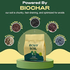 Rosy Soil Indoor Potting Soil Bundle, Organic Houseplant, Aroid and Cactus Potting Mix Set, Peat-Free Biochar Formula, 4 Qt Each - Image 4