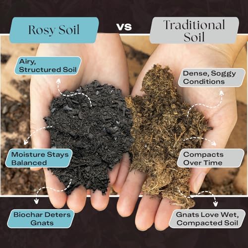 Rosy Soil Houseplant Potting Soil, 8 Quarts, Pack of 2 - Image 3