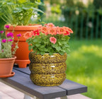 SQOWL Ceramic Planter - 8 Inch Indoor Plant Pot with Drainage Hole, Round Planter for Outdoor Plants, Ceramic Flower Pots, Bubble Planters, Home Room Porch Decor, Plant Lover Gifts, Yellow - Image 2