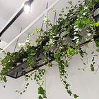 Ceiling Shelf Floating Shelves - Hanging Planters for Indoor Plants Window - Hanging Flower Pot for Wall and Ceiling Mounting - Plant Holder for Bar, Garden, Balcony, Home Decoration ( Size : 140x25x1 - Image 3