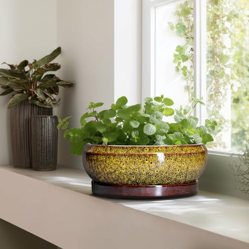 Succulent Pots Large - 13 Inch Ceramic Bonsai Pot with Drainage Hole and Tray, Round Succulent Planters, Shallow Plant Pots Indoor, Bowl Planter Outdoor, Garden Decor, Gardening Gift, Yellow - Image 6