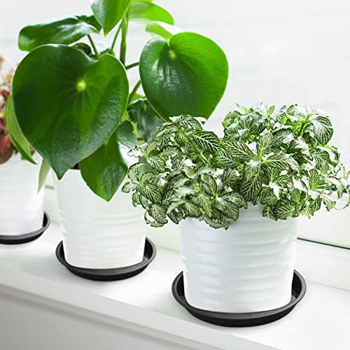 Honeydak 48 Pieces Plant Saucer Potted Plant Trays Round Plastic Drainage Tray Sturdy Drip Flower Saucers for Potted Indoor Outdoor Home Garden, 4/6/ 8/10/ 12/13 inches (Black) - Image 5