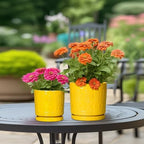 Eightpot 8 Inch Plant Pot, Ceramic Pots for Plants with Drainage Hole and Sacuer, Round Flower Pots for Indoor Outdoor Plants, Modern Decorative Planter, Table Decor, Plant Gifts for Women, Yellow - Image 4