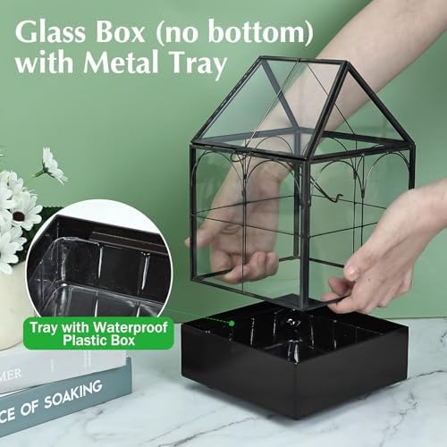 HighFree Glass Terrarium with Metal Tray, Glass Greenhouse Terrarium Kit - Image 4