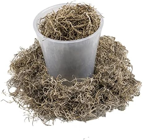 Gardenera Premium Natural Spanish Moss | Natural Preserved - Great Ground Cover - Filler for Potted Plants - 4 Quart Bag - Image 6