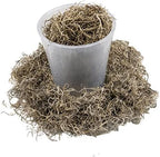 Premium Natural Spanish Moss | Natural Preserved - 20 Quart - Great Ground Cover - Filler for Potted Plants (4 Bags of 5 Quart) - Image 6
