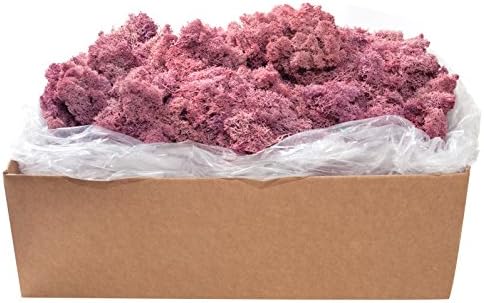SuperMoss (21791) Reindeer Moss – Soft Preserved Moss for Home Decor, Crafts, Terrariums, Floral Design, and Wedding Decorations, 2,588 cu in, Dusty Rose by SuperMoss