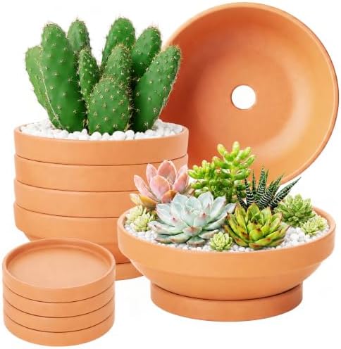 Laerjin Terracotta Pots, 6.43 Inch Shallow Planters with Saucers, 6 Pack by Laerjin