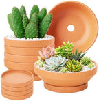 Laerjin Terracotta Pots, 6.43 Inch Shallow Planters with Saucers, 6 Pack by Laerjin