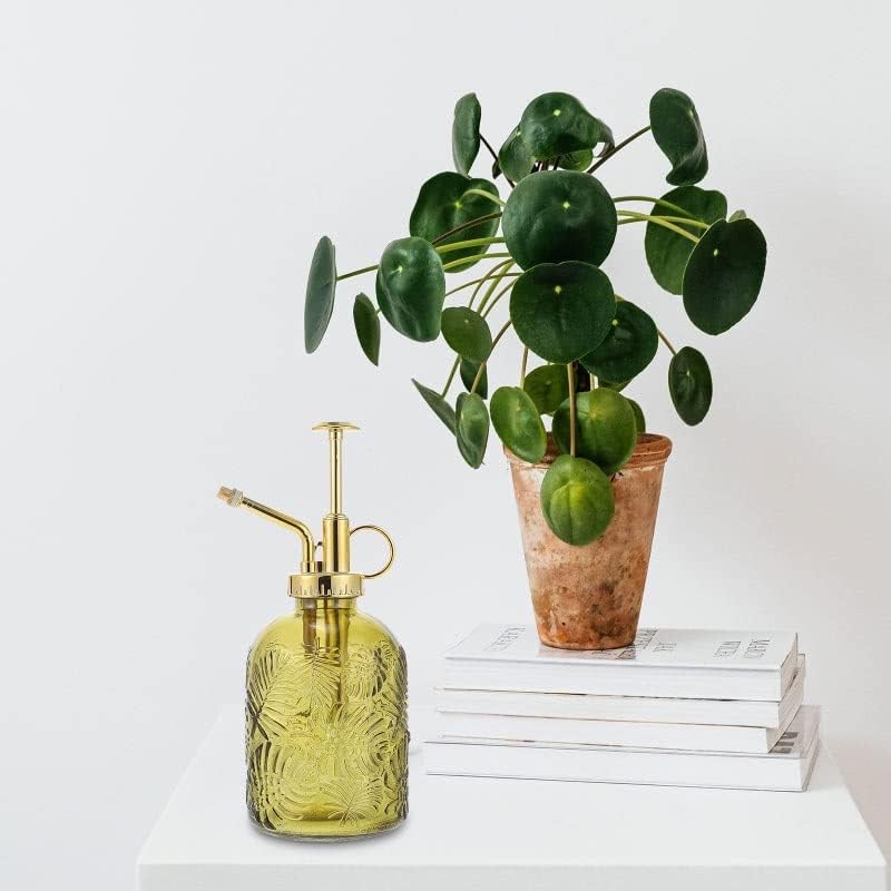 Watering Bottlemister Glass Can Spray Vintage Pump Spritzer Small Decorativeantique Pot Transparent Water Flower Misting - Image 3