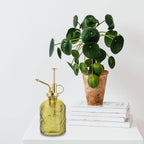 Watering Bottlemister Glass Can Spray Vintage Pump Spritzer Small Decorativeantique Pot Transparent Water Flower Misting - Image 3