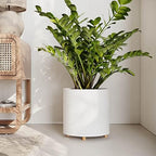 EverNest Claire Modern Indoor Plant Pot with Stand, White Pattern, 10 Inch, SelectBase, Neutral Mid-Century Modern Style, Metal Home Decor Planter (Medium, 2 Gallon) - Image 5