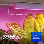 Barrina T5 LED Grow Lights, Full Spectrum Growing Light, 2FT 10W, 8 Packs - Image 5