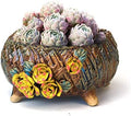 6.3 Inch Succulent Pot Handmade Flower Design Round Ceramic Antique Plant Pot Cactus Pot Planter with Drainge and Mesh Pad (Yellow) by SUMMERIMPRESSIONS