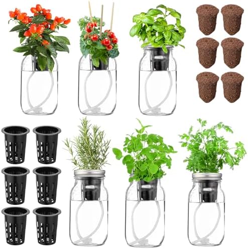 Teenyyou 6 Set Hydroponic Mason Garden Jar Kit Self Watering Herb Hydroponic Planter Starter Kit with Net Pot Garden Flower Plant Growing Gift for Indoor Herbs Windowsill Gardening by Teenyyou