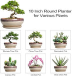 SQOWL Bonsai Tree Pots - 10 Inch Ceramic Succulent Pots, Round Shallow Planter with Drainage Hole and Tray, Bowl Planter for Indoor Outdoor Plants Flowers, Room Decor, Garden Gifts, Beige - Image 7