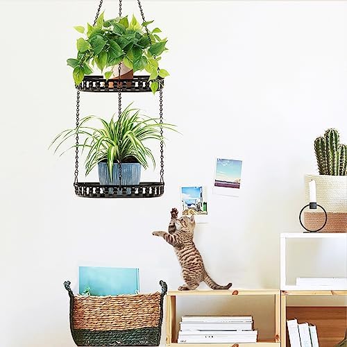 2 Tier Hanging Planters for Indoor Outdoor Plants, Metal Plant Hanger,2pack - Image 6