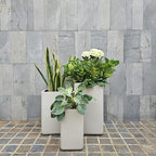 KUTE NEST 17" Premium Large Elio Fiberstone Outdoor Planter - Ethereal Mood - Image 3